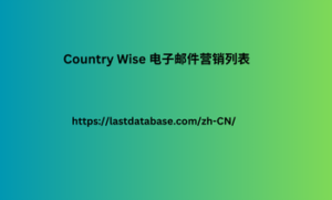 Country Wise 电子邮件营销列表