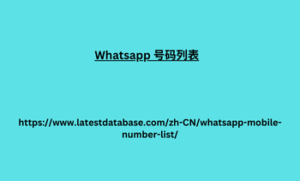 Whatsapp 号码列表